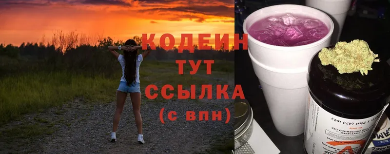 shop наркотические препараты  гидра маркетплейс  Костерёво  Кодеин Purple Drank 